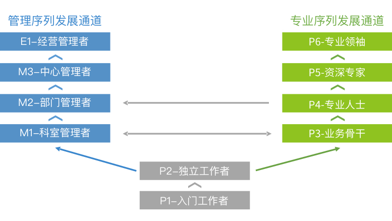 学习与成长